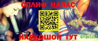 apvp Нальчик
