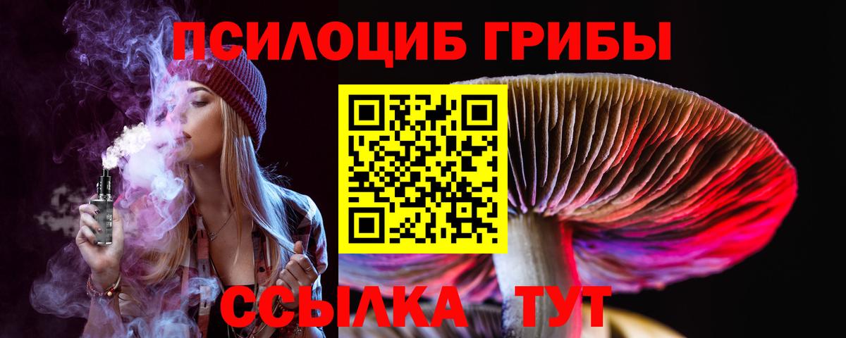 Химки  Псилоцибиновые грибы MAGIC MUSHROOMS  Вход с VPN 